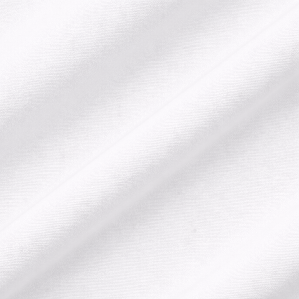 Men's Formal Regular Fit Cotton Full Sleeve Shirt - White